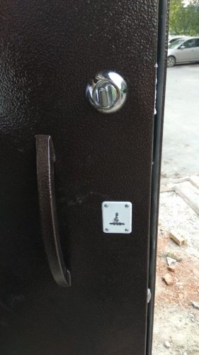 552 - Двустворчатая дверь с бугельной ручкой фото 5